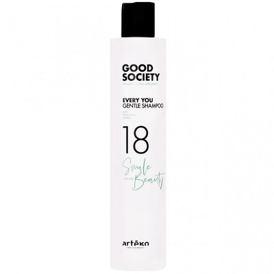 Шампунь для щоденного застосування Artego Good Society 18 Every You Gentle Shampoo 250 мл 13569 фото