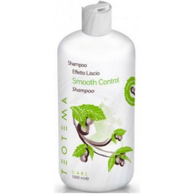 Разглаживающий шампунь для волос Teotema Care Smooth Control Shampoo 5832 фото