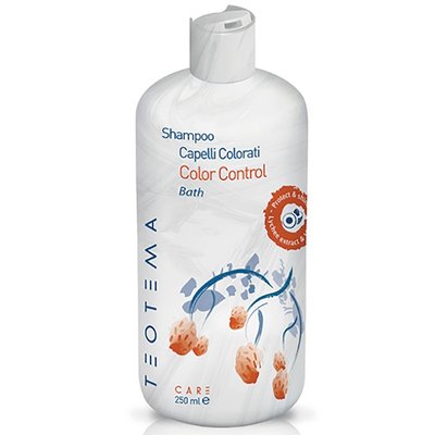 Шампунь для окрашенных волос Teotema Care Color Control Shampoo TEO 4102 фото