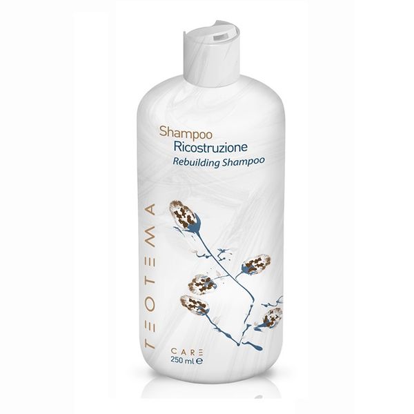 Восстанавливающий шампунь Teotema Care Rebuilding Shampoo TEO 4201 фото